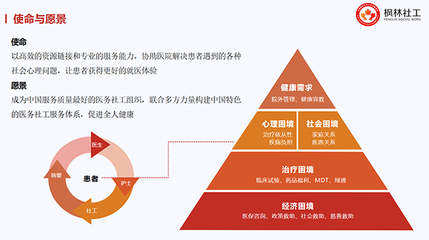健全重特大疾病保障網(wǎng)，賦能醫(yī)務(wù)社工與咨詢服務(wù)業(yè)發(fā)展